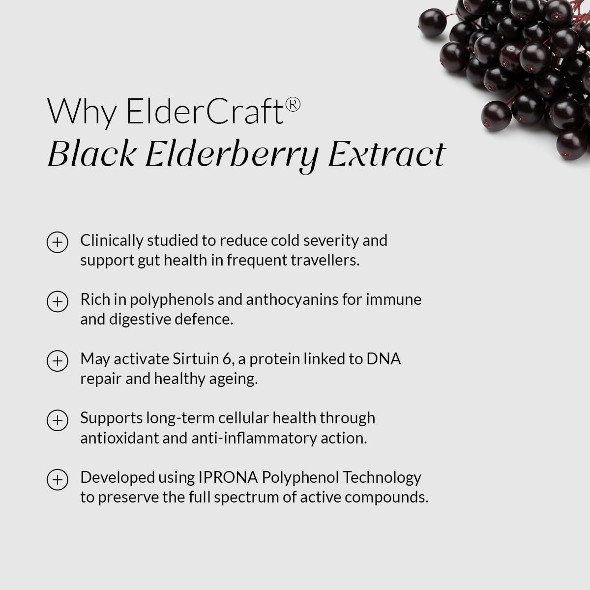 Nutrova Elderberry+ | Daily Multivitamin with ElderCraft® European Elderberry Extract, Zinc, Vitamin C & D3 | Supports Immune Health, Gut Health & Antioxidant Protection | 30 Veg Tablets. — Amazon image 2