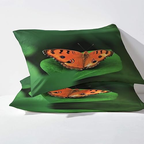Miniatura 3 de Sábanas de mariposa tamaño Queen, sábanas de hojas verdes de mariposas, sábanas y fundas de almohada de 4 piezas, sábana bajera ajustable de