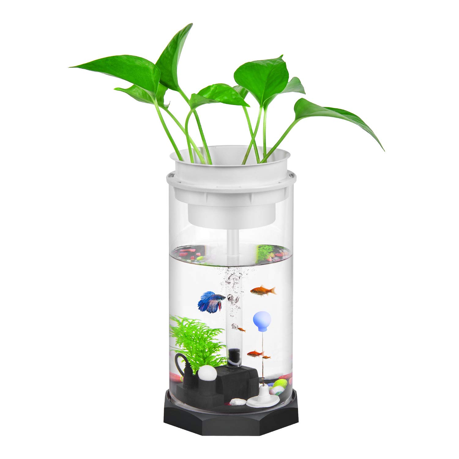 EBlife 0.58 Gallon Small Fish Tank with Filter LED Ecological Aquarium with Light Fengshui Geomantic