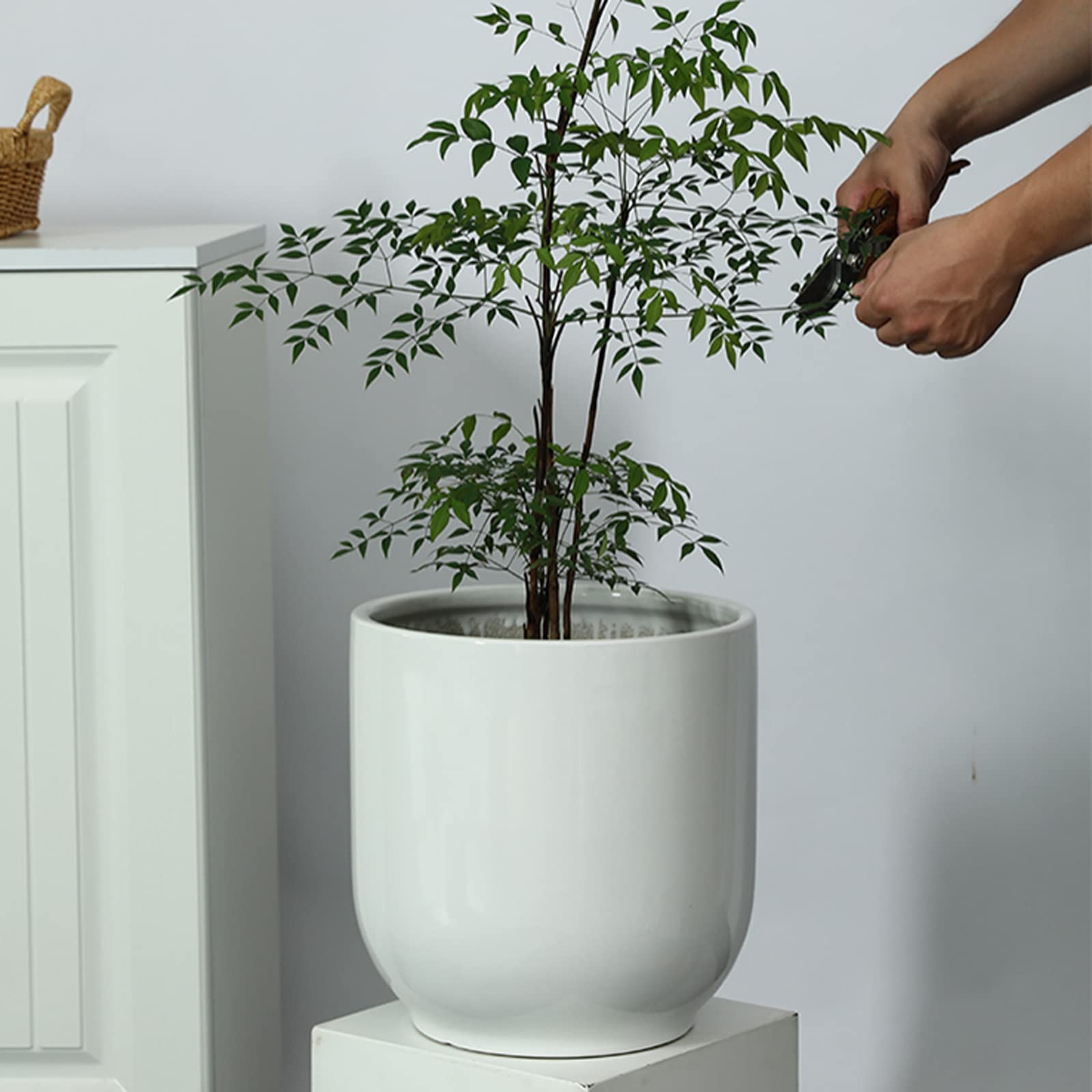 Vasi da Giardino Fioriere Rotonde da 7/9/11 Pollici per vasi da Fiori in Ceramica per Interni ed Esterni con Foro di drenaggio e Vassoio in plastica, Arredamento Moderno ed Elegante