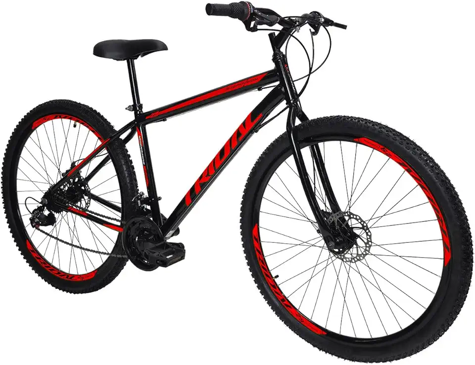 Bicicleta Aro 29 MTB Aço 21 Marchas Freio a Disco Tridal Bike