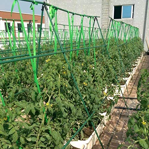 HYDDNice 50Pcs 4FT x 7/16\" Garden Stakes Plant Stakes Plant Cage Supports with 328FT Twist Ties for Sapling Tomato Cucumber Bean Climbing Plants Grow - Thumbnail 3