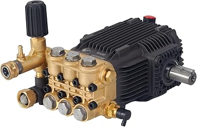 Canpump 3000 psi @ 4.3 US gpm, 24 mm Shaft Pressure Washer Pump
