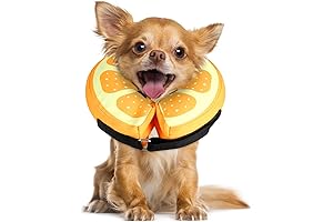 Postop XS Inflatable Dog Cone: Shield & Comfort for Surgical Recovery
