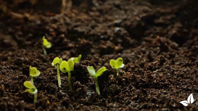 Argilla Bentonitica: Il Ritorno Alla Bellezza Naturale Con Segreti - Foto 11