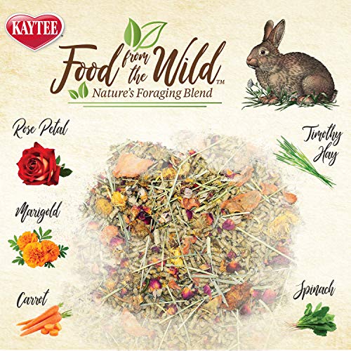 Kaytee Food From The Wild Natural Pet Rabbit Food, 4 Pound #TOP2
