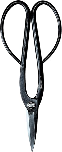 Bonsai Scissors Asinaga 7.9" (20 cm) Japanese Pruning Shears - Tree Care & Gardening tools