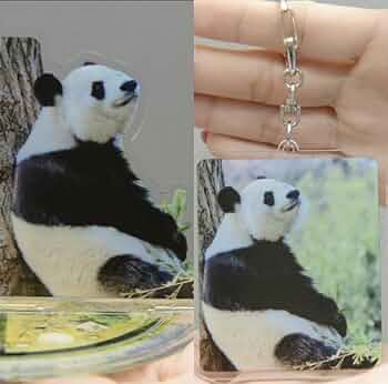 神戸市立王子動物園 タンタン アクリルキーホルダー 4個セット 数量限定】王子動物園開園記念「タンタンオリジナル アクリル