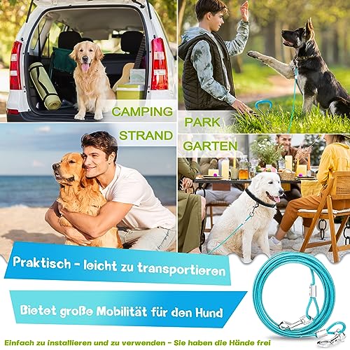 Supet Ancora a terra con guinzaglio per cani