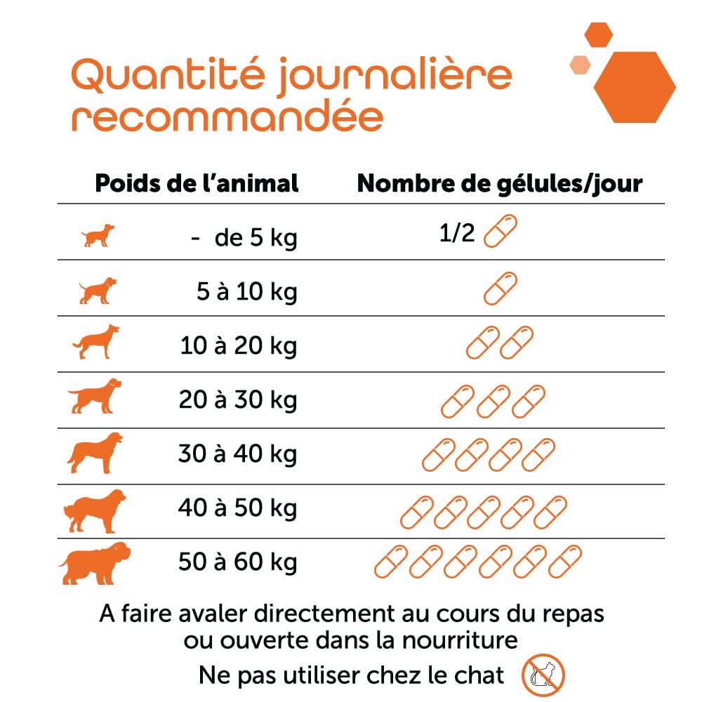 MP Labo Cartimax® Active 60 Gélules - Soutien de la Fonction Articulaire pour Chiens