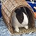 Ware Manufacturing Hand Woven Willow Twig Tunnel Small Pet Hideout, Large