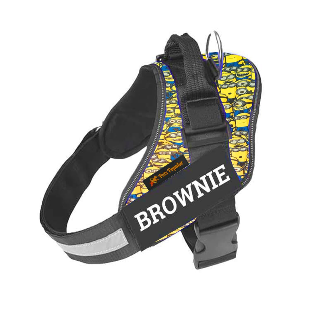 The Pets Popular Customise Dog No Pull Harness with Name and Emergency Contact Number Ajustable Reflective and Comfortable Harness with Rope (Large, Minions) (B0CTNRJ4DR) Amazon Price History, Amazon Price Tracker