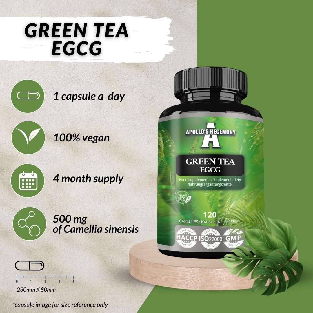 Estratto di tè verde 500 mg, contiene il 50% di EGCG e il 98% di polifenoli, 120 capsule vegane, 4 mesi di fornitura, bruciagrassi naturale, supporto antiossidante - da Apollo's Hegemony