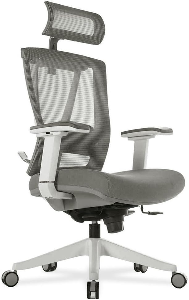 Autonomous Premium Ergonomic Office Chair for Computer or Gaming, with Wheels, Lumbar Support, Adjustable Seat, Headrest, and Armrests, Mesh Back, Medium, Full Black