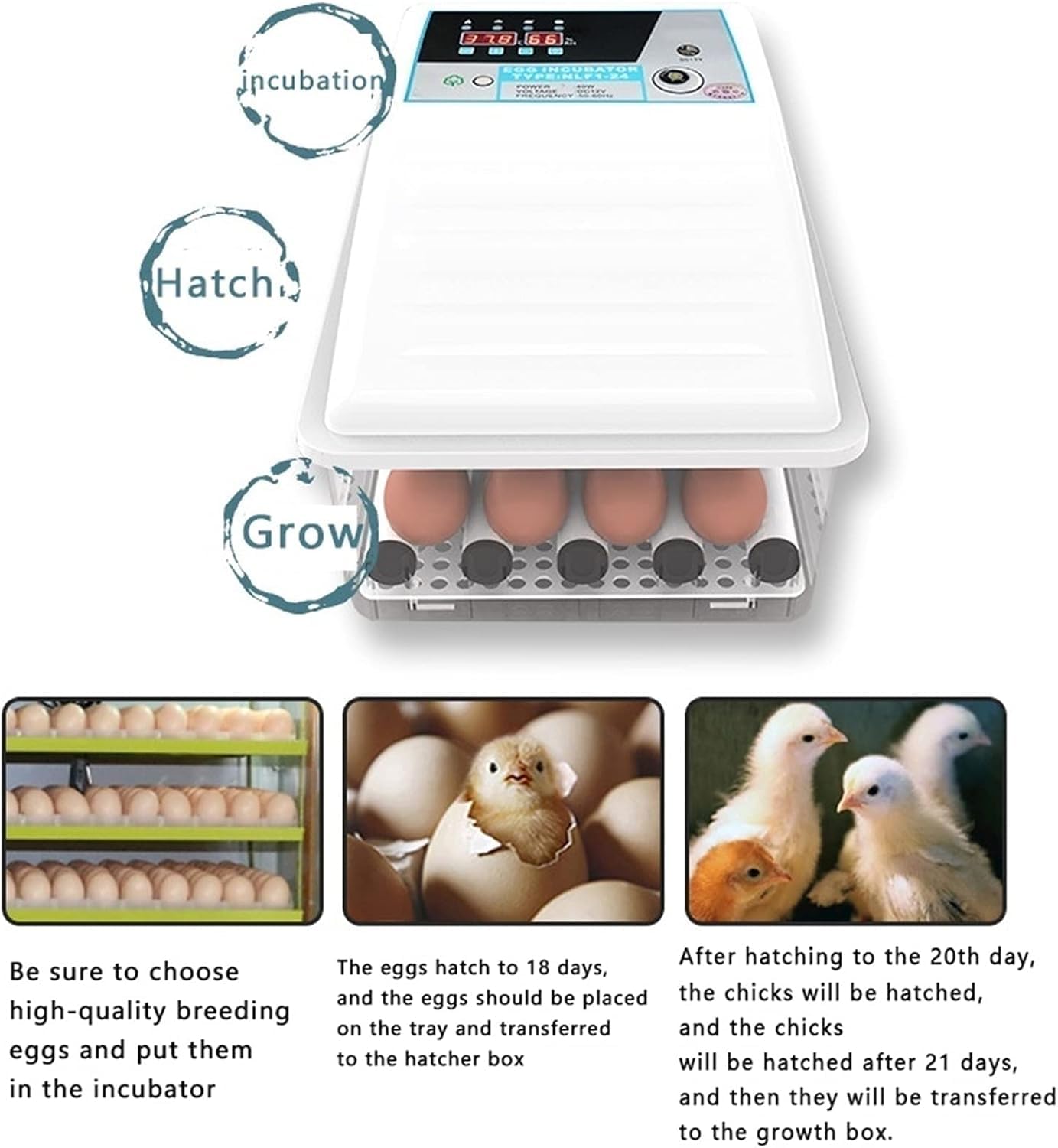 Incubadora Incubadora for Huevos de codorniz, 24 Huevos, Totalmente automática, incubadora Digital for Huevos con Control de Temperatura(Dual Power Supply)