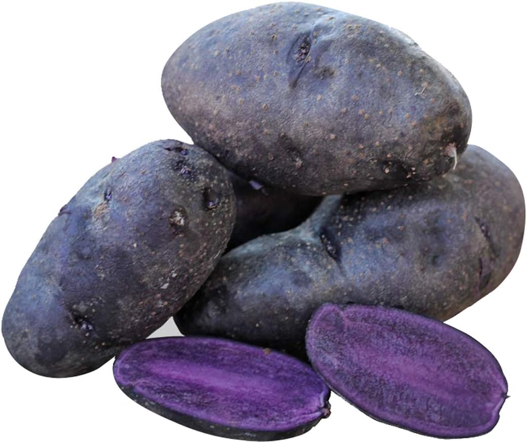 Nema Potato Vegetable Seeds - Purple -100pcs