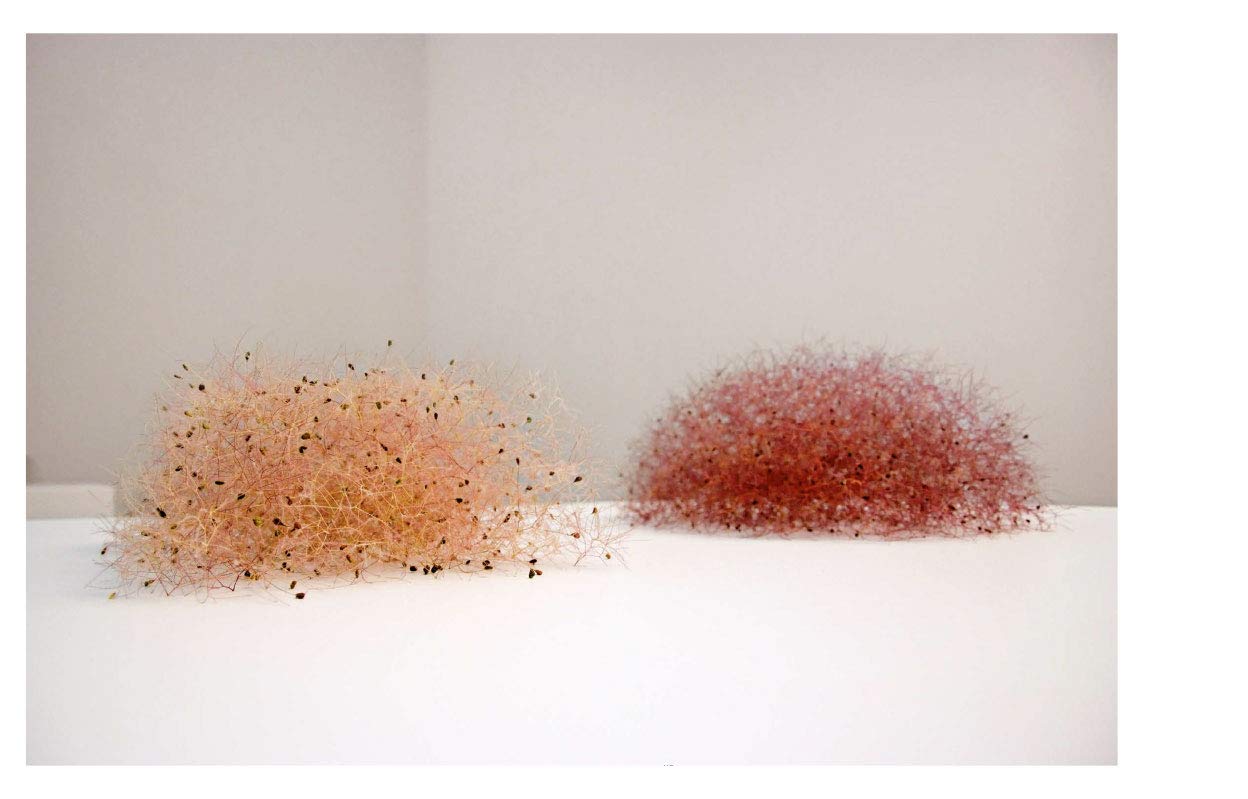 Christiane Löhr (Zeitgenössische Kunst)