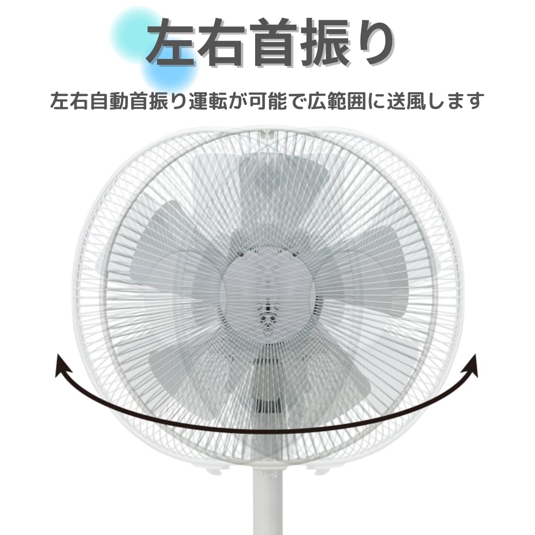 Amazon | APIX アピックス メカ式リビング扇風機 AFL-216T