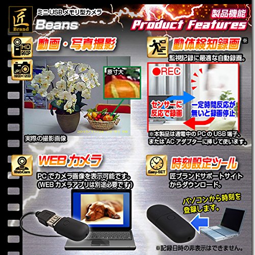 Amazon.co.jp: 匠ブランド(TAR6U)ミニUSBメモリ型ビデオカメラ Beans
