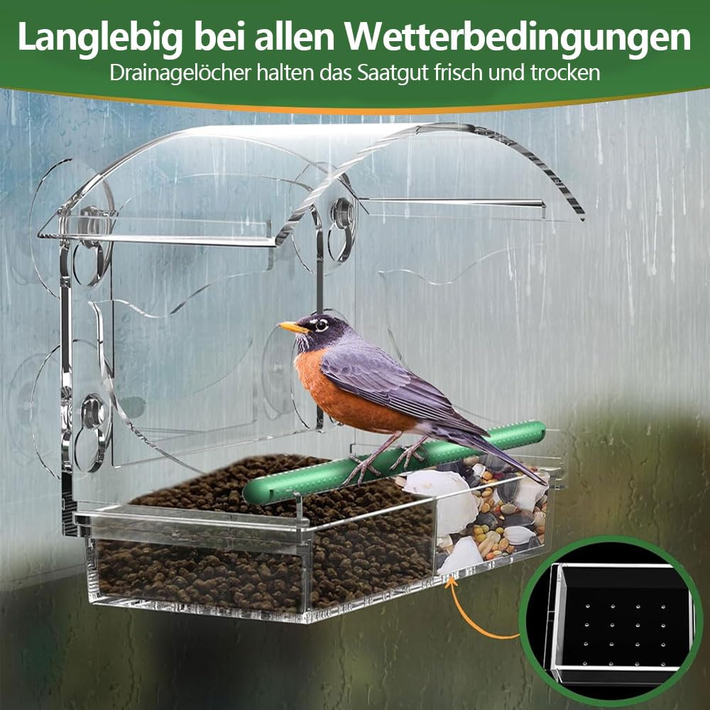 Mangiatoia Uccelli Da Finestra Con Ventose - Mangiatrice Trasparente Per Piccoli Uccelli | 25x15.5 Cm - Foto 10