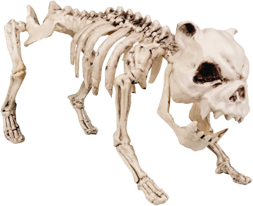 magic Party Halloween Decoration Skeleton Dog (1 Pack), 40 x 20 cm, Beige