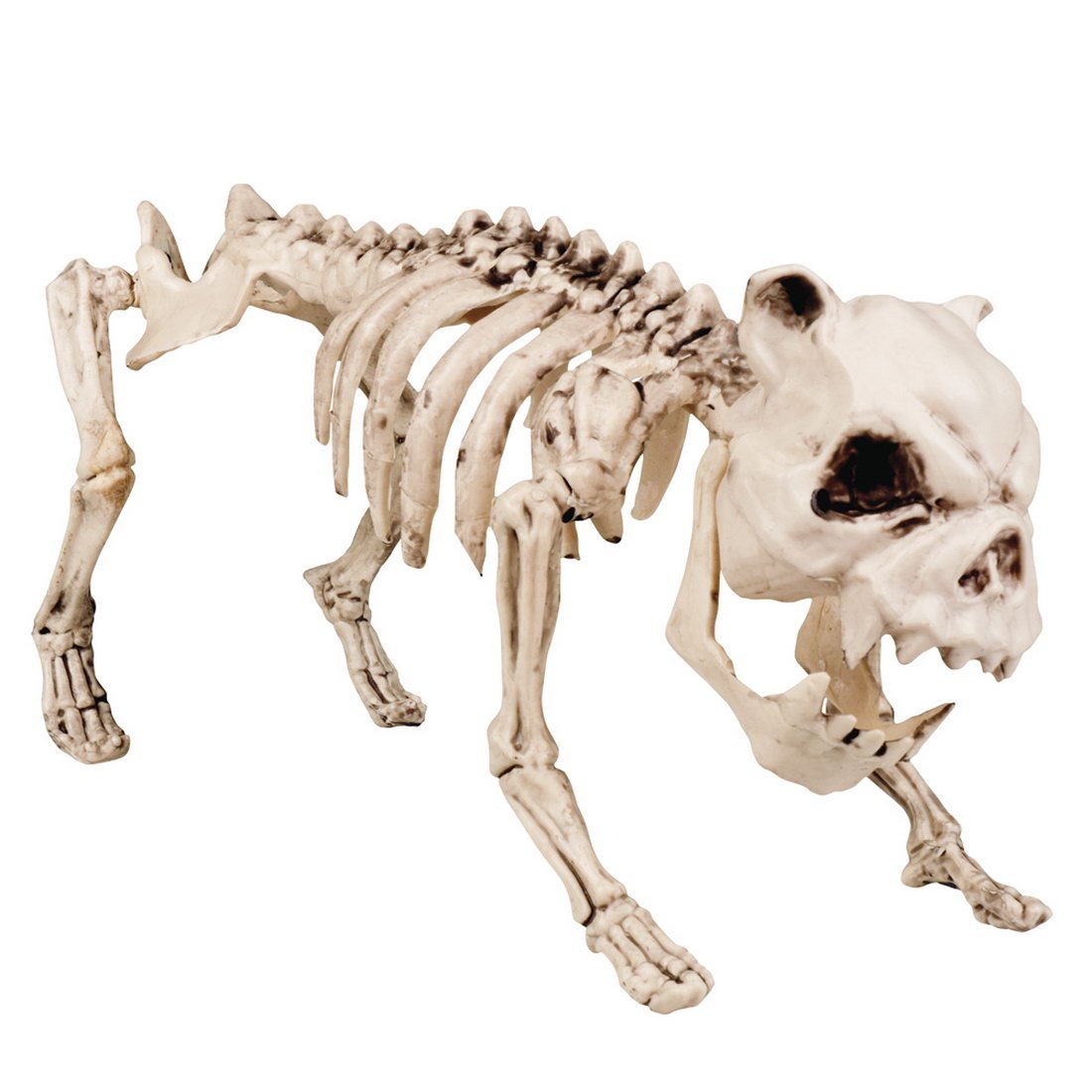 magic Party Halloween Decoration Skeleton Dog (1 Pack), 40 x 20 cm, Beige