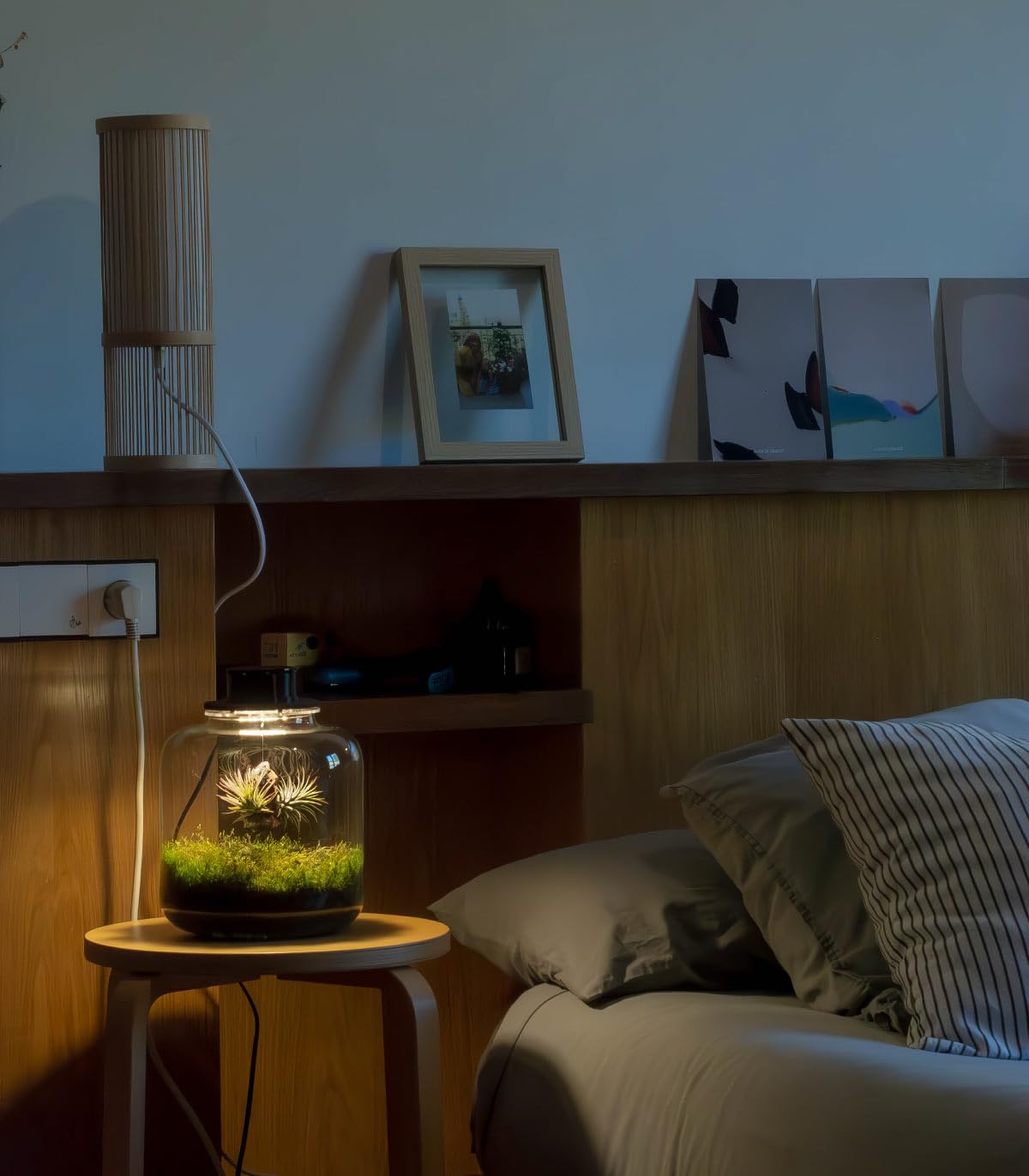 Jardin en Botella Terrario Plantas Vidrio Transparente Tapa con Foco LED | Kit Jardin en Botella Todo Incluido Plantas de Aire Naturales en Raiz de Olivo