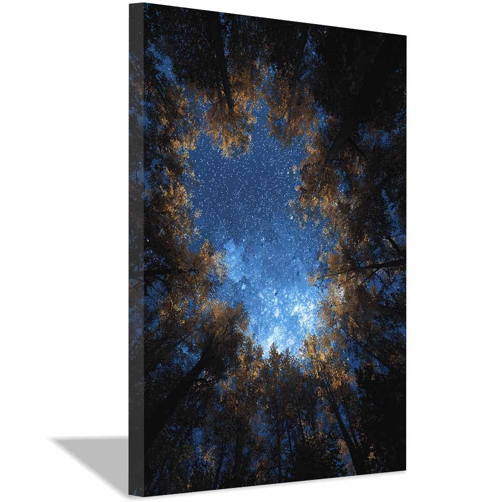 HOQIU Landscape wall art Starry Forestss Night canvas art, art print, house decor, bedroom wall decor above bed, prints for living room.(Multicolor)-80x120cm Framed