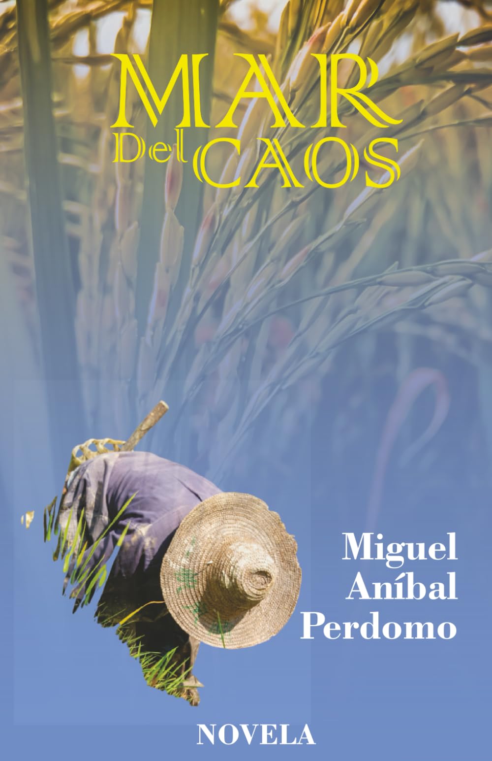 Mar del caos