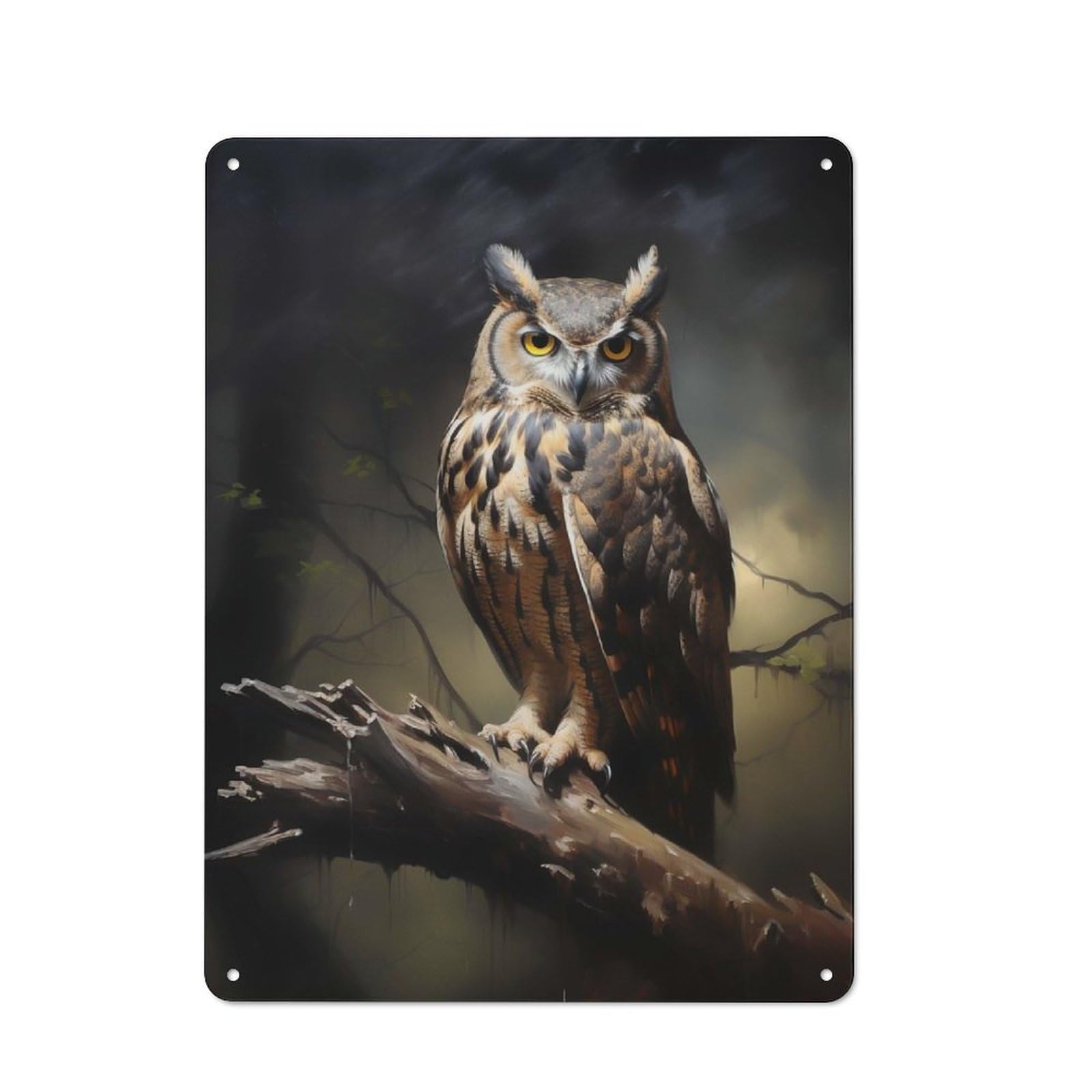 Eagle Owl Metal Gift Sign 40x30cm, Vintage Home Wall Decor for Home, Shop, Pub Or Studio Wall