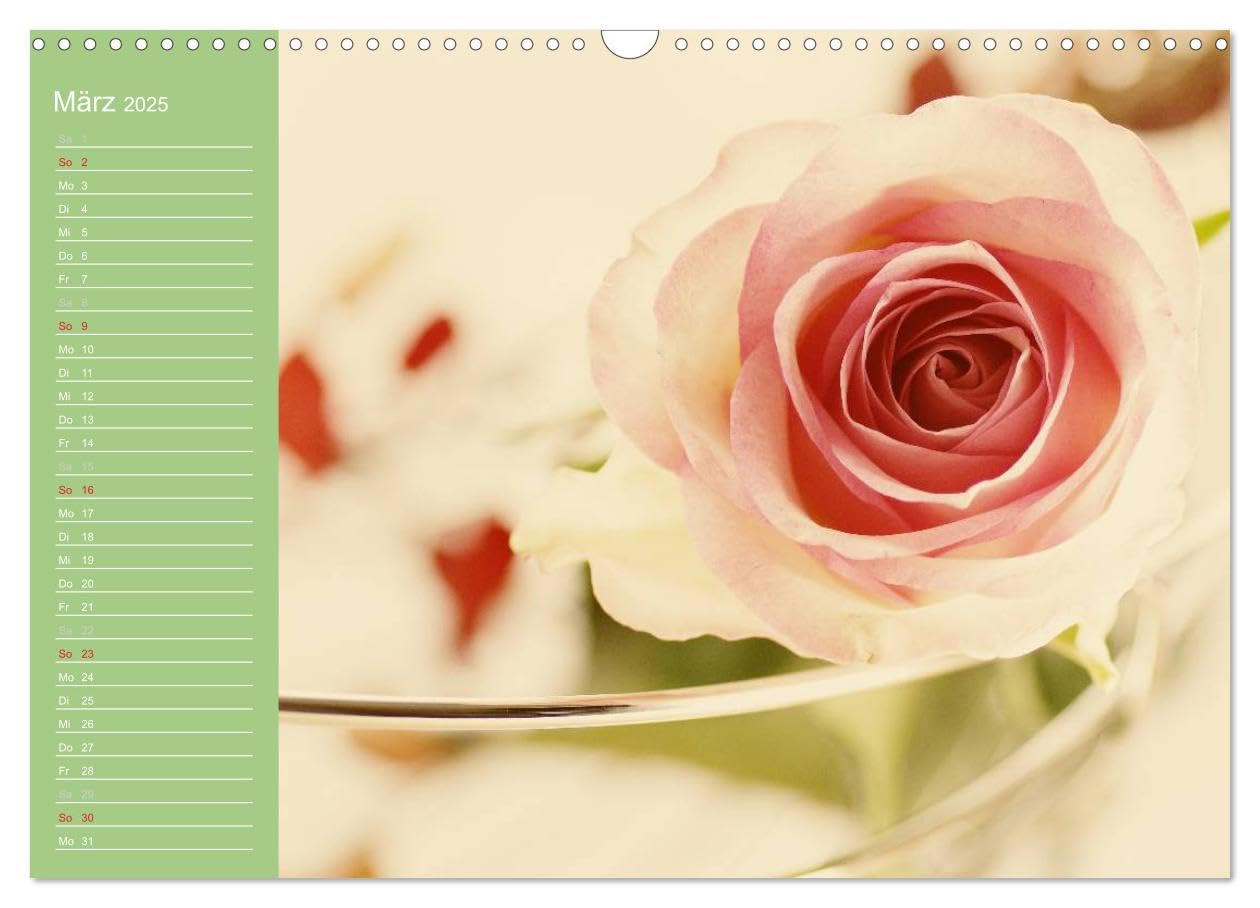 Rosen Blüten Terminkalender (Wandkalender 2025 DIN A3 quer), CALVENDO Monatskalender: Ein Terminkalender in dem die Schönheit und die Vielfältigkeit der Rosen zu sehen ist (CALVENDO Natur)