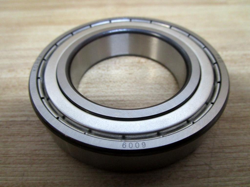 Fag 6009.2ZR.J22R Ball Bearing 6009