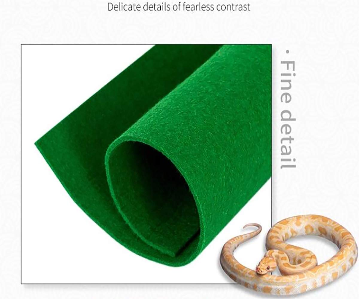 Tfwadmx Alfombra para Reptiles, 2 Unidades de Alfombra de dragón Barbudo para terrario y terrario, para Serpiente, Tortuga, Lagarto, Geckos, cangrejos ermitaños (24" x 16")