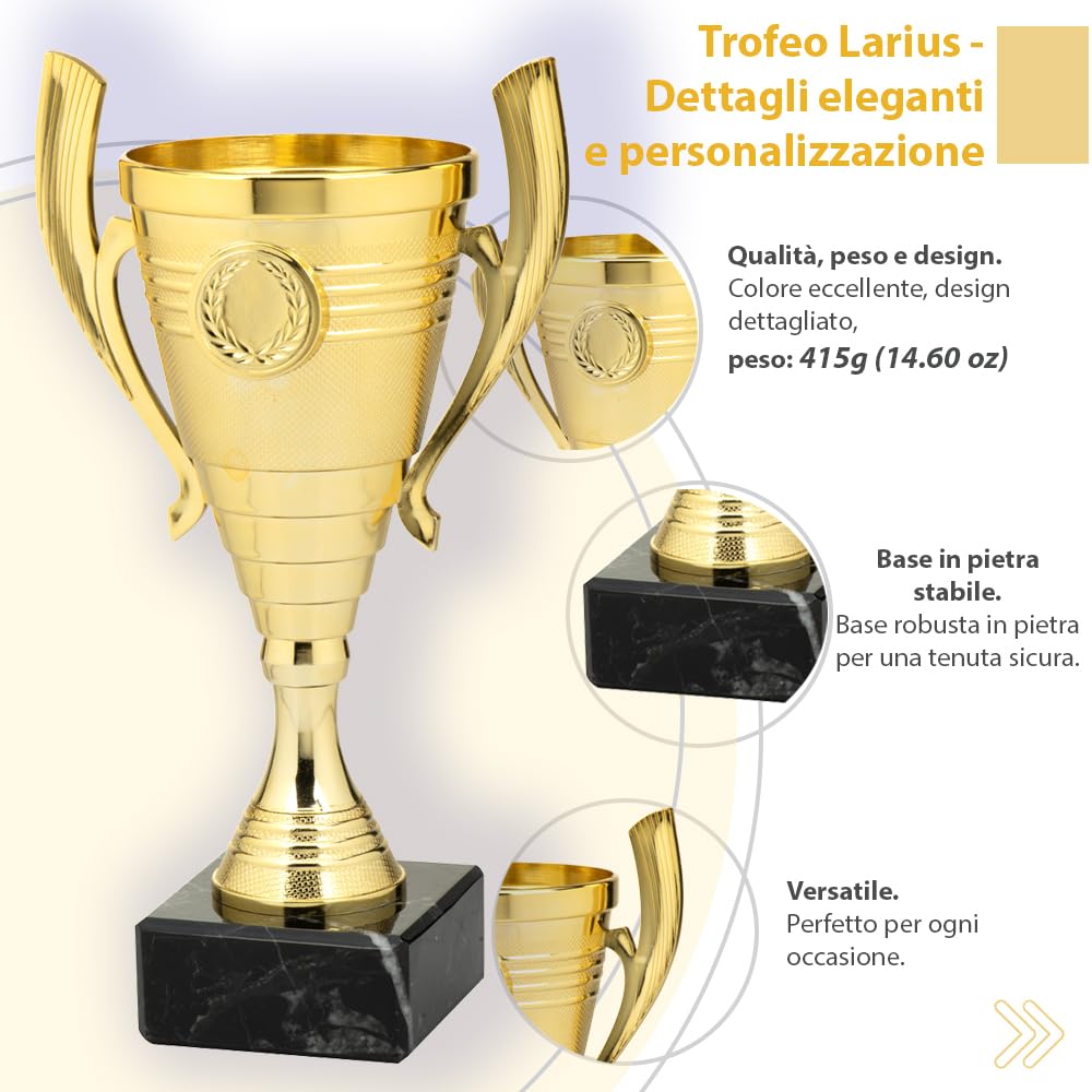 Larius Coppa (22 cm, 415 g), elegante trofeo universale con base in marmo, personalizzabile, ideale per sport, scuola, concorsi e premi - B3