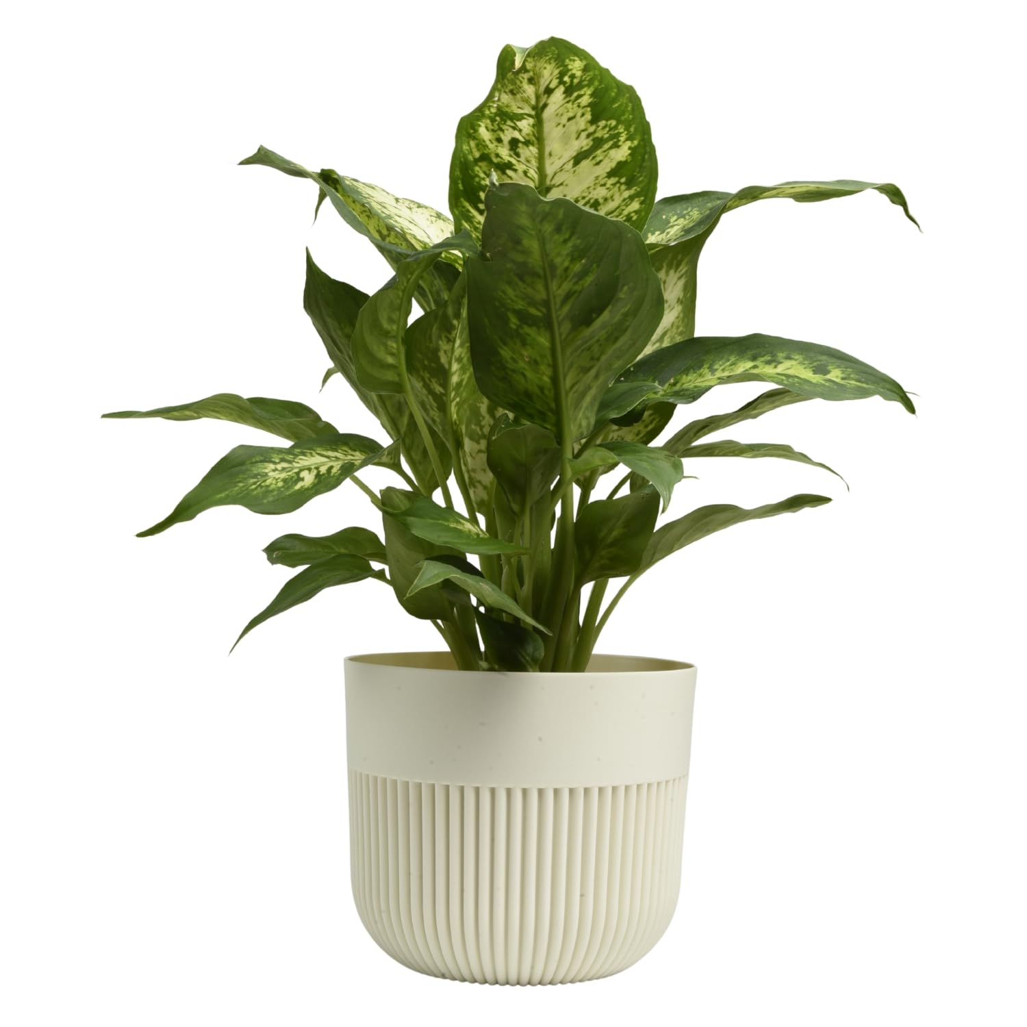 B2C Matt Ribbed Flower Pot – Modern Plastic Planter for Indoor & Outdoor Plants, Herbs & Succulents – Lightweight, Durable, Easy-Clean Design – Multiple Sizes & Colours (Ecru, 13cm)