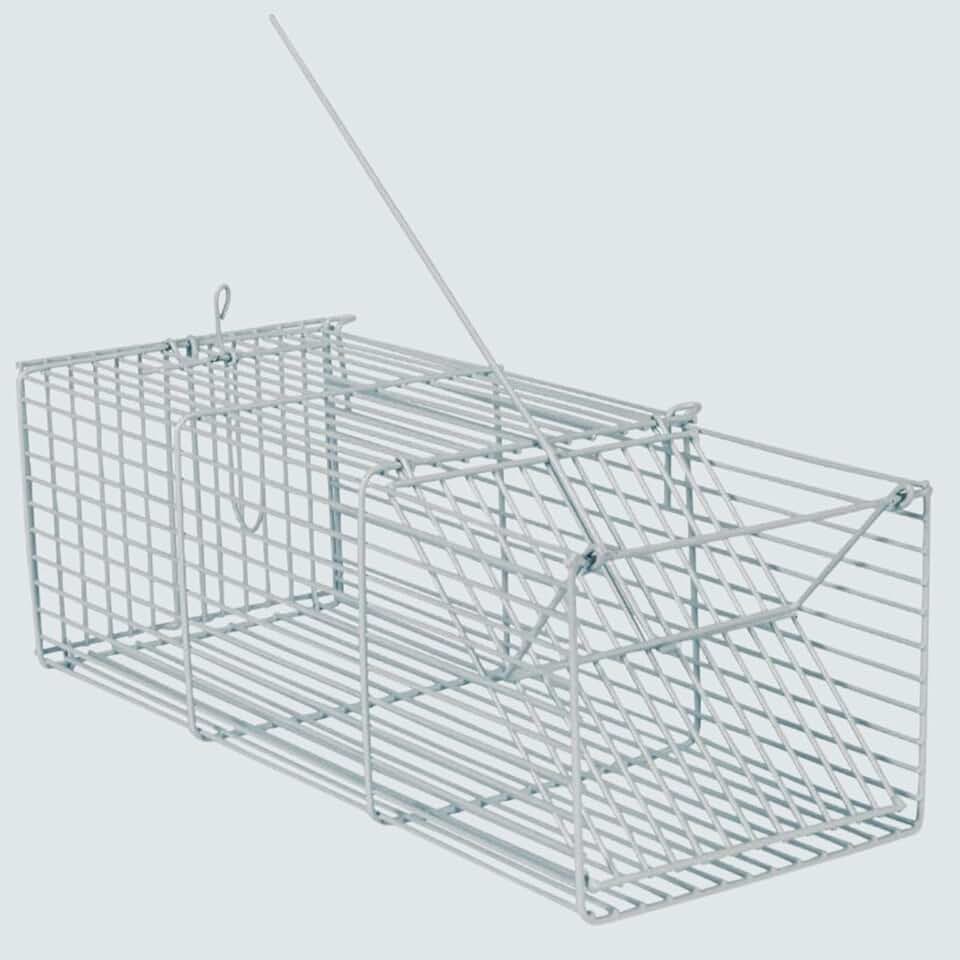 Ratoeira gaiola armadilha para ratos e camundongos roedores