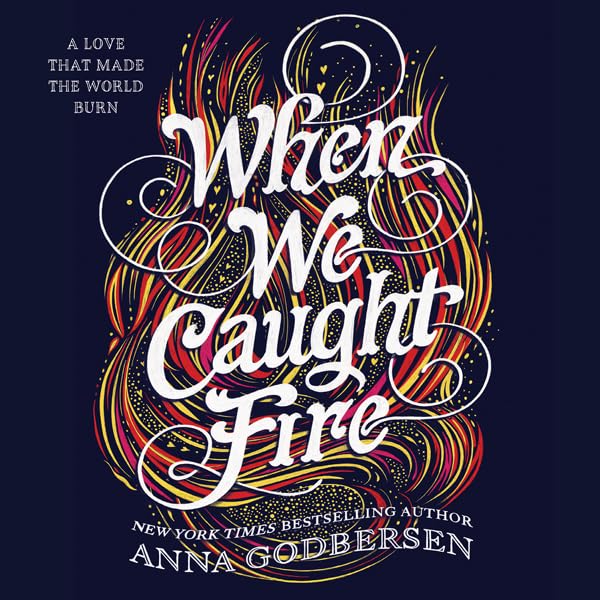 Cover art for When We Caught Fire