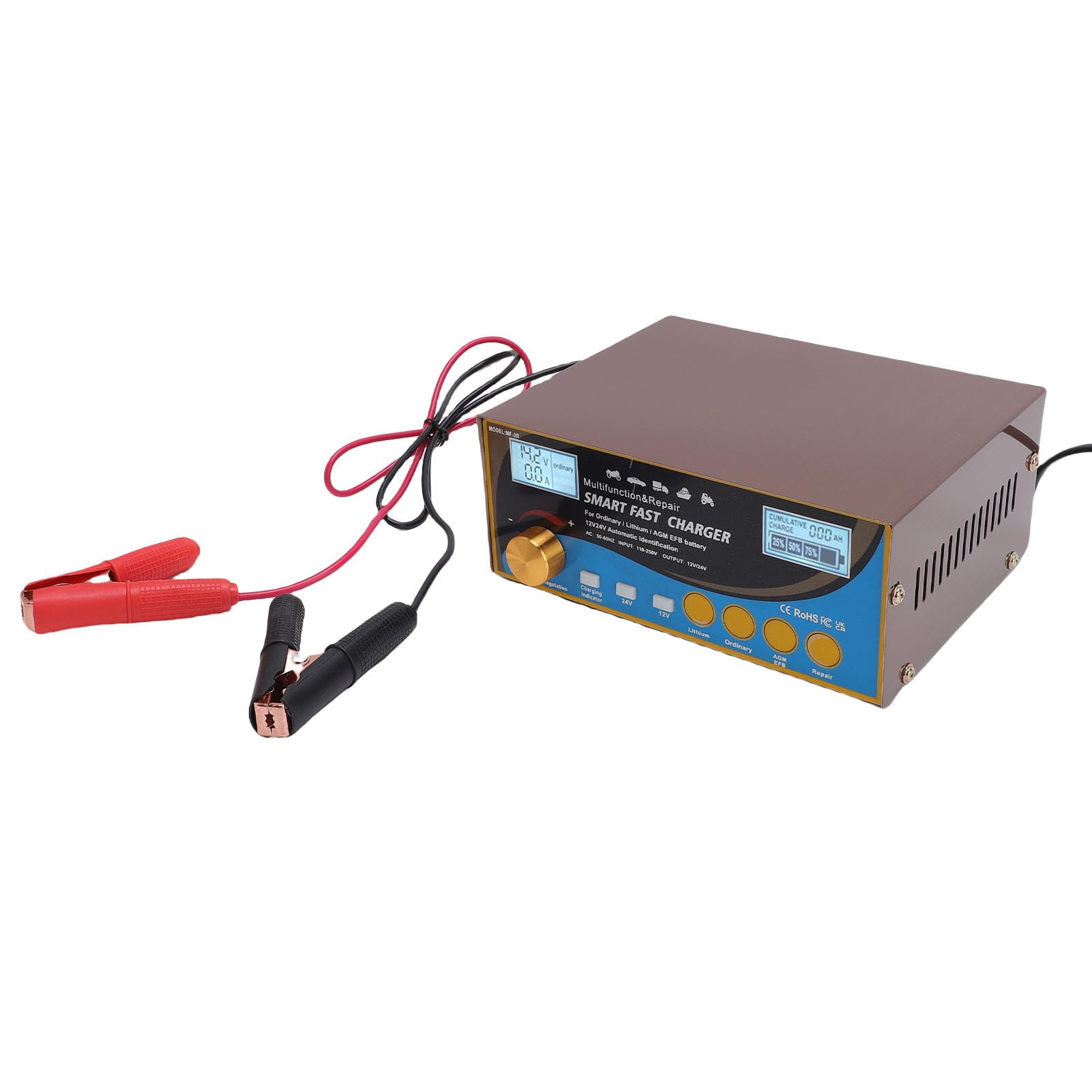 Garosa Desulfatore di Manutentore del Caricabatterie 12 V 24 V Desulfator per Caricatore Intelligente Automatico per Moto per Camion per Auto con (Spina europea)