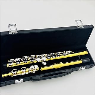 Flute C 16 Key Closed Brass Lacquered Gold Instrument With Case flute instrument