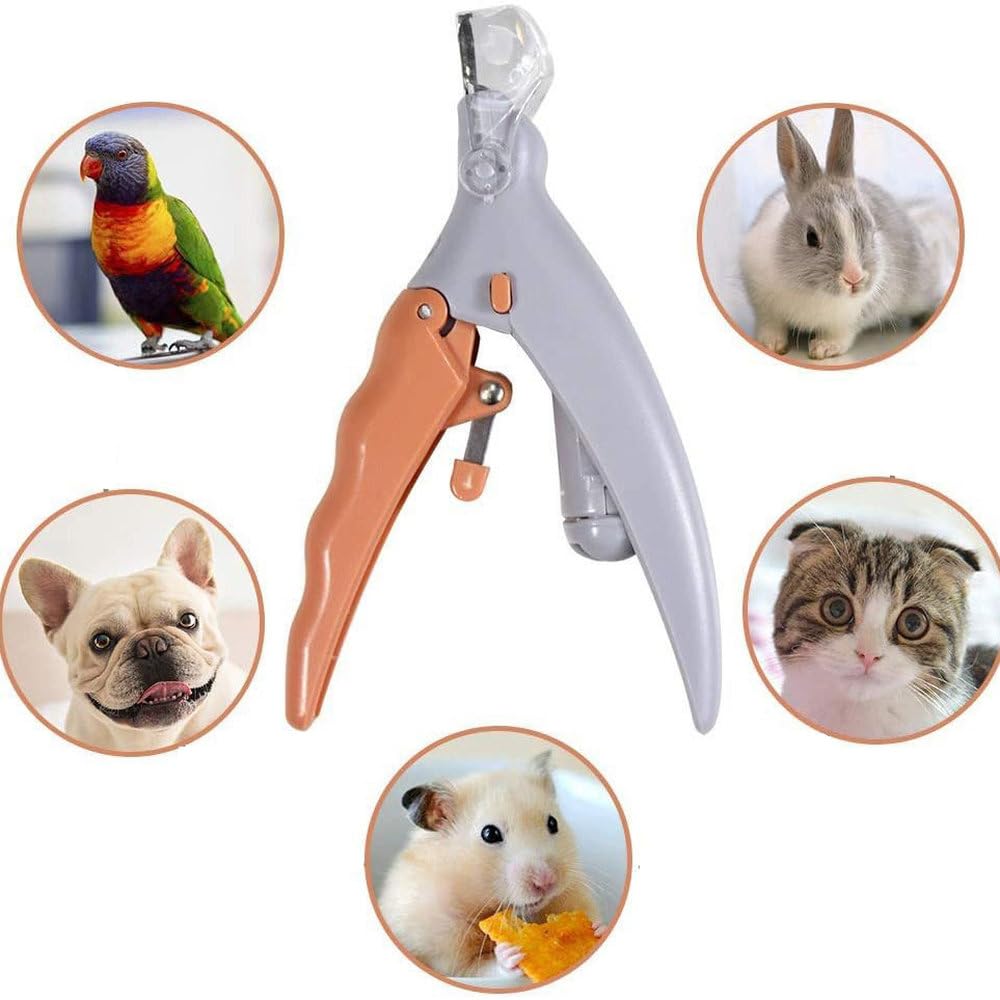 Coupe-ongles LED pour chats et chiens - Ciseaux à ongles lumineux avec lumière pour une coupe précise - Kit de toilettage pour toutes les tailles - Tondeuse à cheveux et outil de soin des griffes