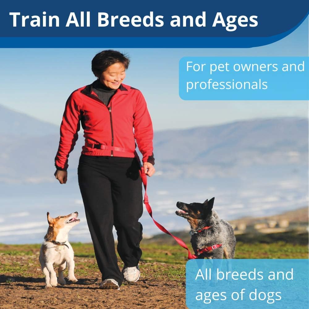 treat and train amazon