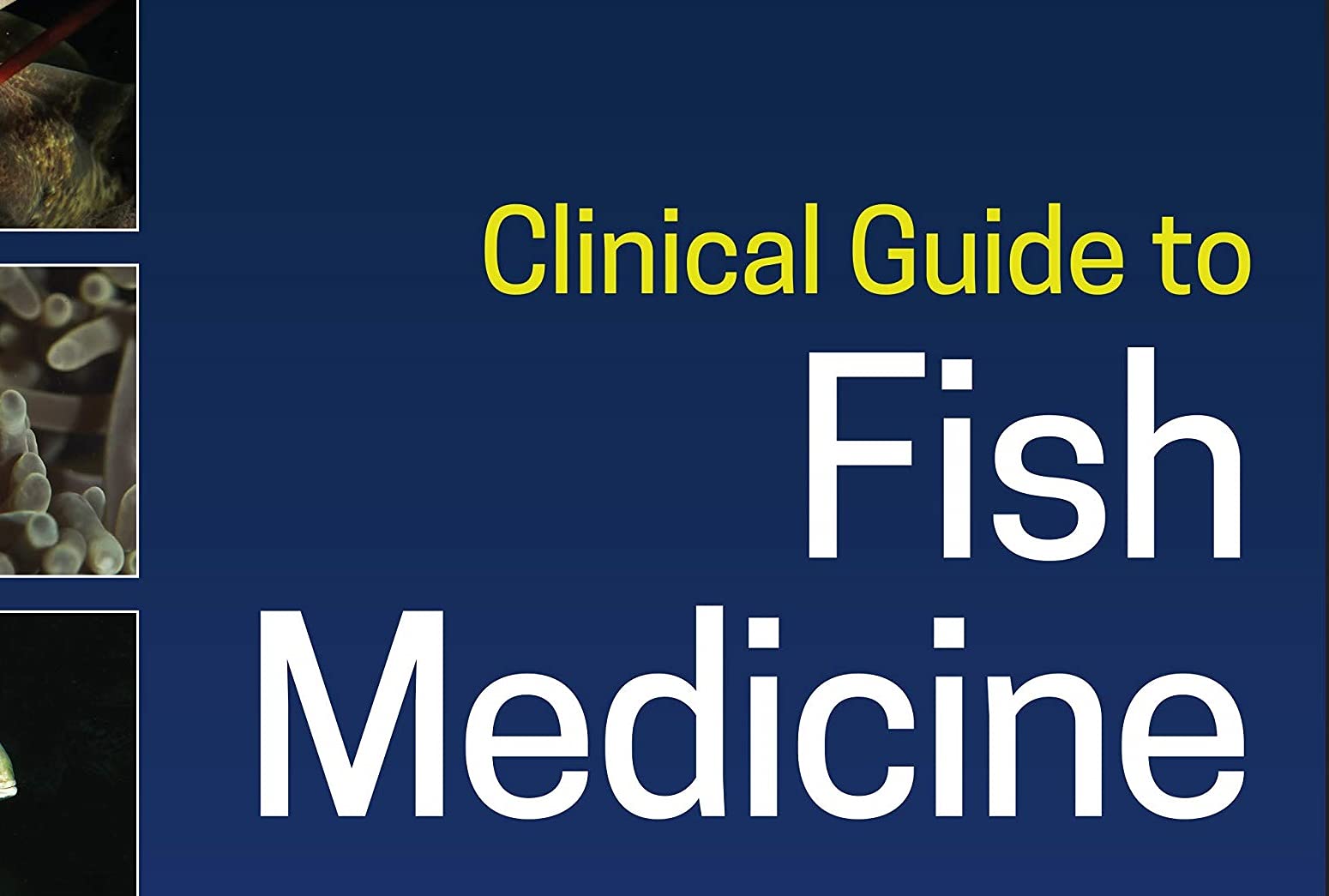 Clinical Guide to Fish Medicine