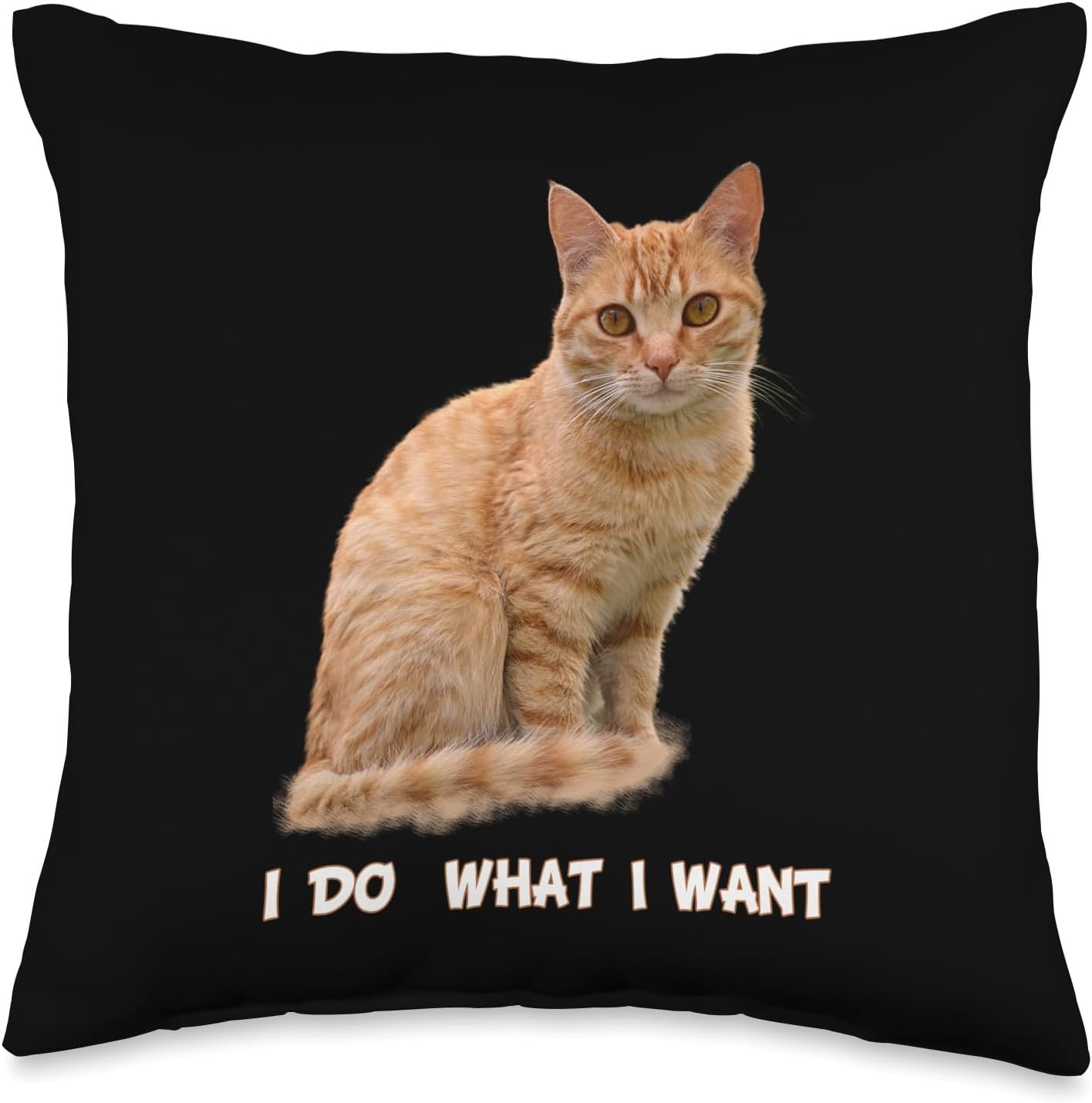 I Make What I Want Funny Orange Tabby Cat Lovers Throw Pillow