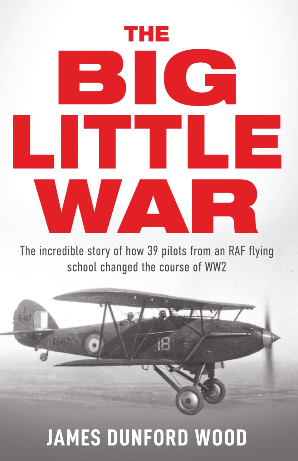 The Big Little War: A World War II epic (The Anglo-Iraqi War 1941)