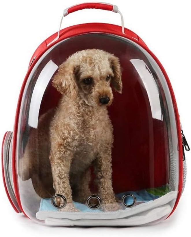 kitty travel backpack