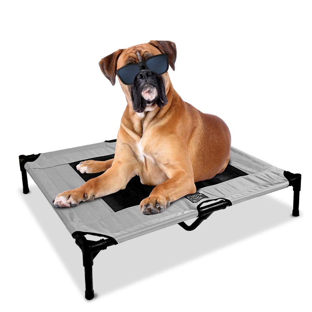 Floppy Dawg Just Chillin’ Elevated Dog Bed. Cot for Indoor and Outdoor Use. Lightweight and Portable. Chill in Style on Raised Breathable Mesh Fabric.