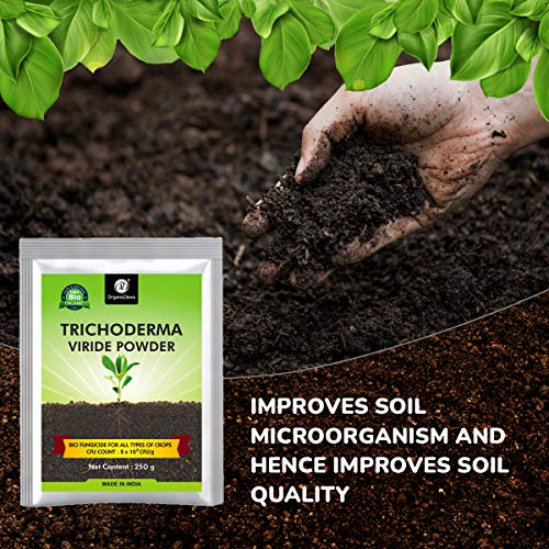 Image of OrganicDews Trichoderma Viride Powder 250 g (2 x 10⁸ CFU per Gram) Bio Fungicide For Plants Controls Root /Stem Rot