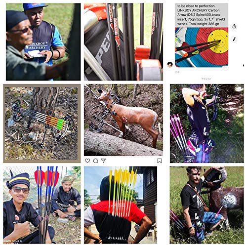 Linkboy Archery Pure Carbon Arrows Spine 300 340 400 500 600 700 800 For Compound Recurve Bow Hunting Shooting Target 12Pcs (Spine 400 30Inch) #TOP7