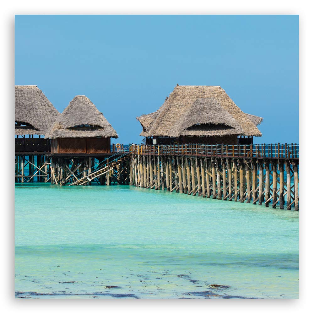 Feeby Cartel de pared XXL zona tropical 200x200 cm Azúl Papel no tejido