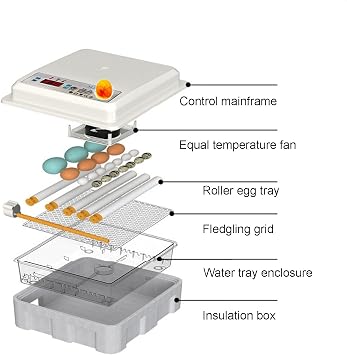 Tam Otomatik Kuluçka Makinesi, Nem ve Sıcaklık Kontrollü Otomatik Yumurta Çevirici, Kuluçkalık Yumurtalar için Brooder Kuluçka Makineleri Bıldırcın Papağan Ördek Kuş,16Eggs